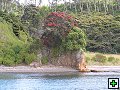 thn_NZ048.jpg