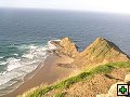 thn_NZ118.jpg