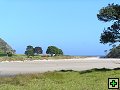 thn_NZ134.jpg