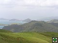 thn_NZ169.jpg