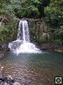thn_NZ179.jpg