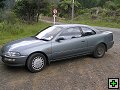 thn_NZ185.jpg