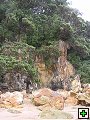 thn_NZ226.jpg