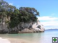 thn_NZ240.jpg