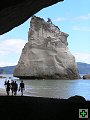 thn_NZ251.jpg