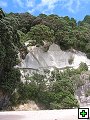 thn_NZ256.jpg