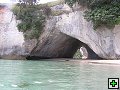 thn_NZ258.jpg