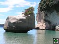 thn_NZ266.jpg