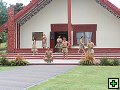 thn_NZ304.jpg