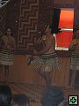 thn_NZ321.jpg