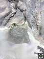 thn_NZ347.jpg