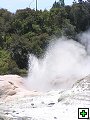 thn_NZ361.jpg