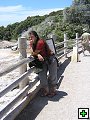 thn_NZ363.jpg