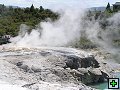 thn_NZ368.jpg