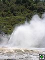 thn_NZ370.jpg
