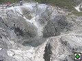 thn_NZ388.jpg