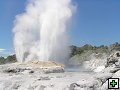 thn_NZ398.jpg