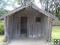 thn_NZ406.jpg