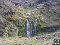 thn_NZ470.jpg