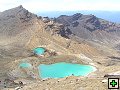 thn_NZ501.jpg