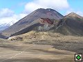 thn_NZ511.jpg