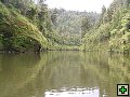 thn_NZ525.jpg