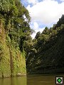 thn_NZ555.jpg