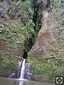 thn_NZ563.jpg