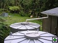 thn_NZ570.jpg