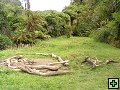 thn_NZ572.jpg