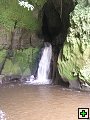 thn_NZ582.jpg