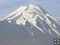 thn_NZ605.jpg