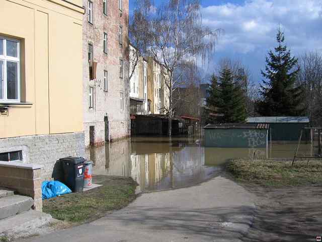 898_9816.jpg