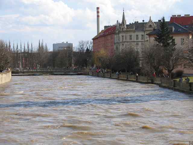 898_9828.jpg