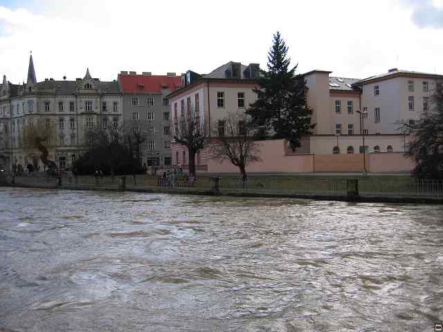 898_9843.jpg
