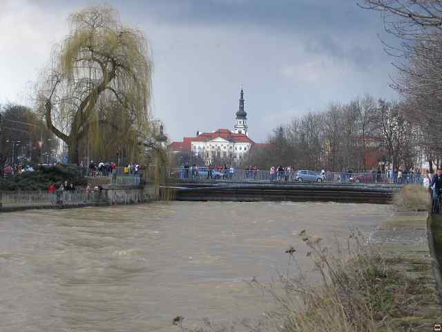 898_9845.jpg