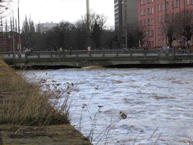 898_9848.jpg