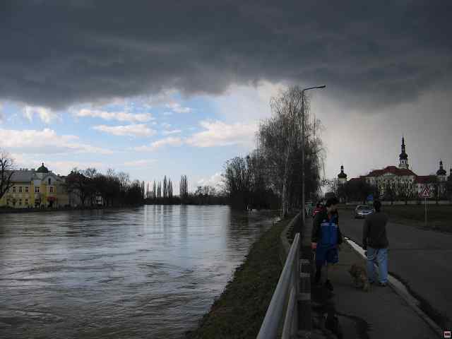 898_9853.jpg