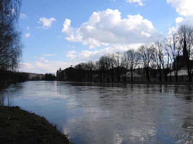 898_9858.jpg