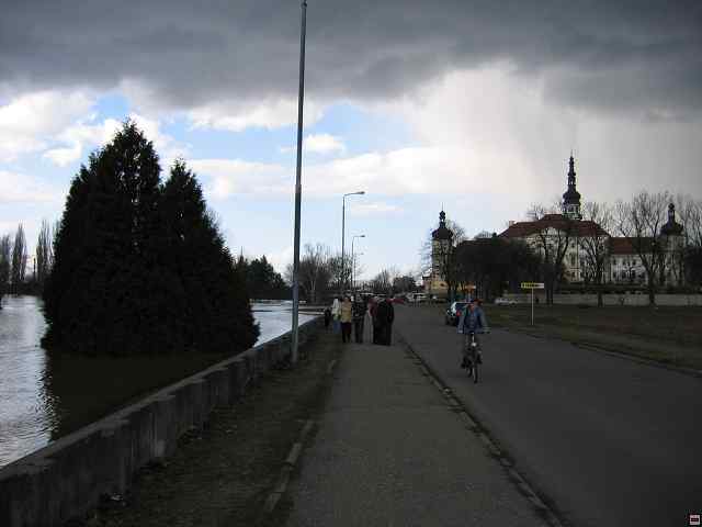 898_9862.jpg