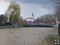 thn_898_9845.jpg